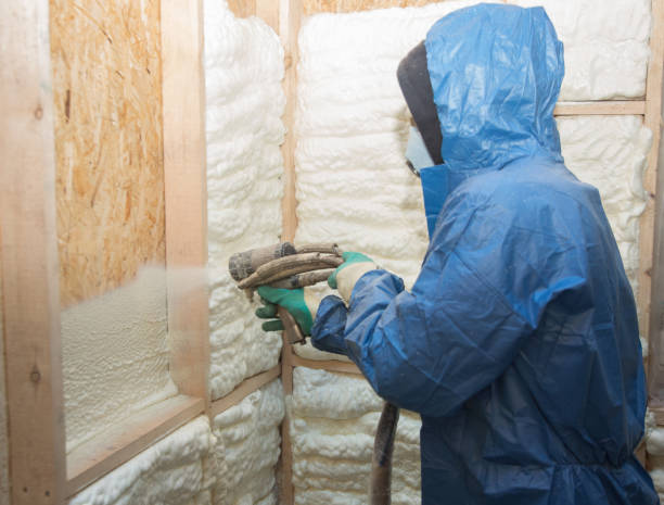 Best Crawl Space Insulation  in Powdersville, SC